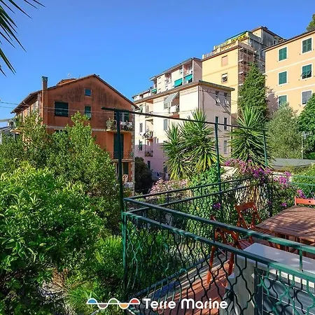 Nettuno, Terremarine