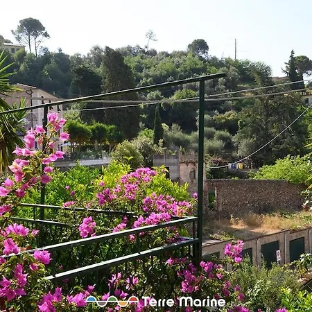Nettuno, Terremarine * Monterosso al Mare