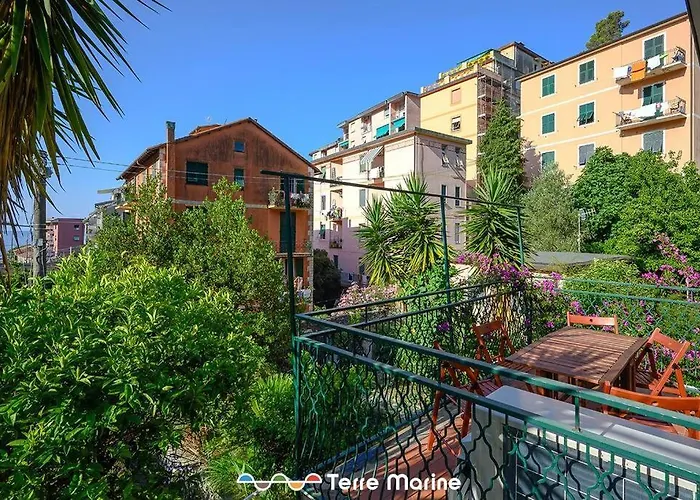 Nettuno, Terremarine